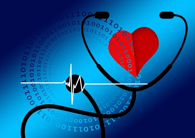 Health Insurance Estimator: 20 Best Tools to Calculate Costs and Maximize Savings 3 digitization 6939536 640