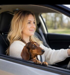 Low-Income Car Insurance in Kentucky: 20 Best Affordable Plans for Families Who Need Budget-Friendly Coverage